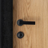 Boston Lever Handle