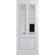 White door with glass panels on a green background. BFR12DuraXPClear.