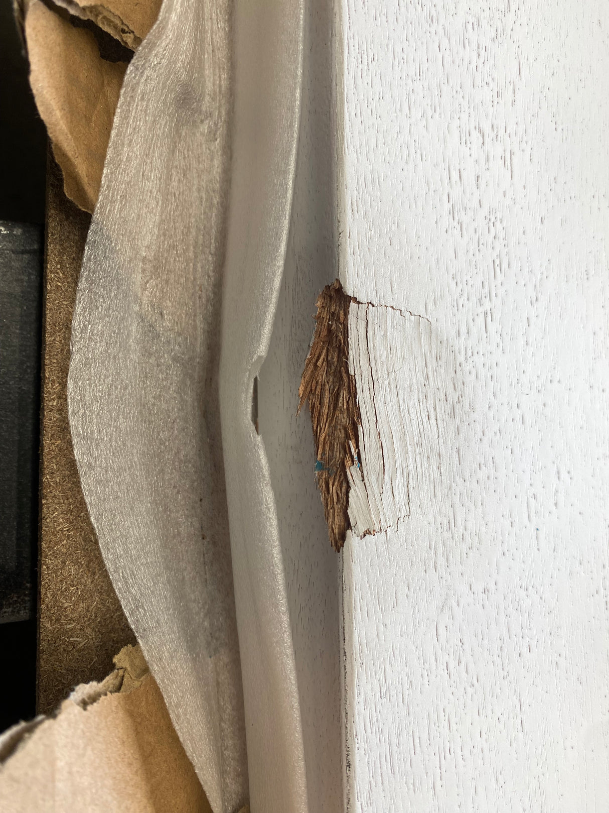 Riviera 2-In-1 Engineered Timber Entrance Door | Bay Solutions - Clearance