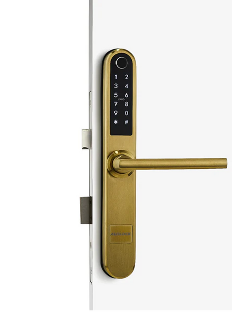 Black digital door handle with electronic keypad on a white background. S13BGold
