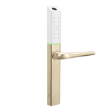 Digital door handle with keypad on a green background. SlimSeriesS3BGold